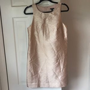 NWOT Ann Taylor Soft Pink and Gold Dress